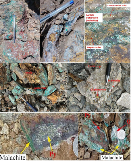 Mineralization evidence